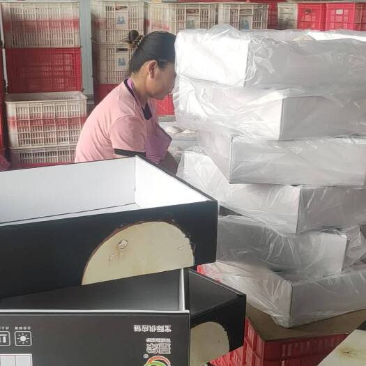 冠县一件代发供应链，常年接单发货。供秋月梨，甜瓜，温室油桃，樱桃