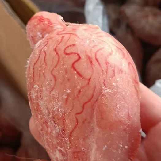 鲜冻羊宝，适合烧烤爆炒等，源头厂家直供，全国冷链物流发货！