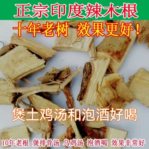 北海辣木籽树根辣木根天然无硫可食用农产品
