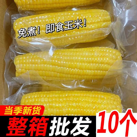 水果即食甜玉米棒开袋代餐减脂零食真空学生上班包装新鲜玉米粒
