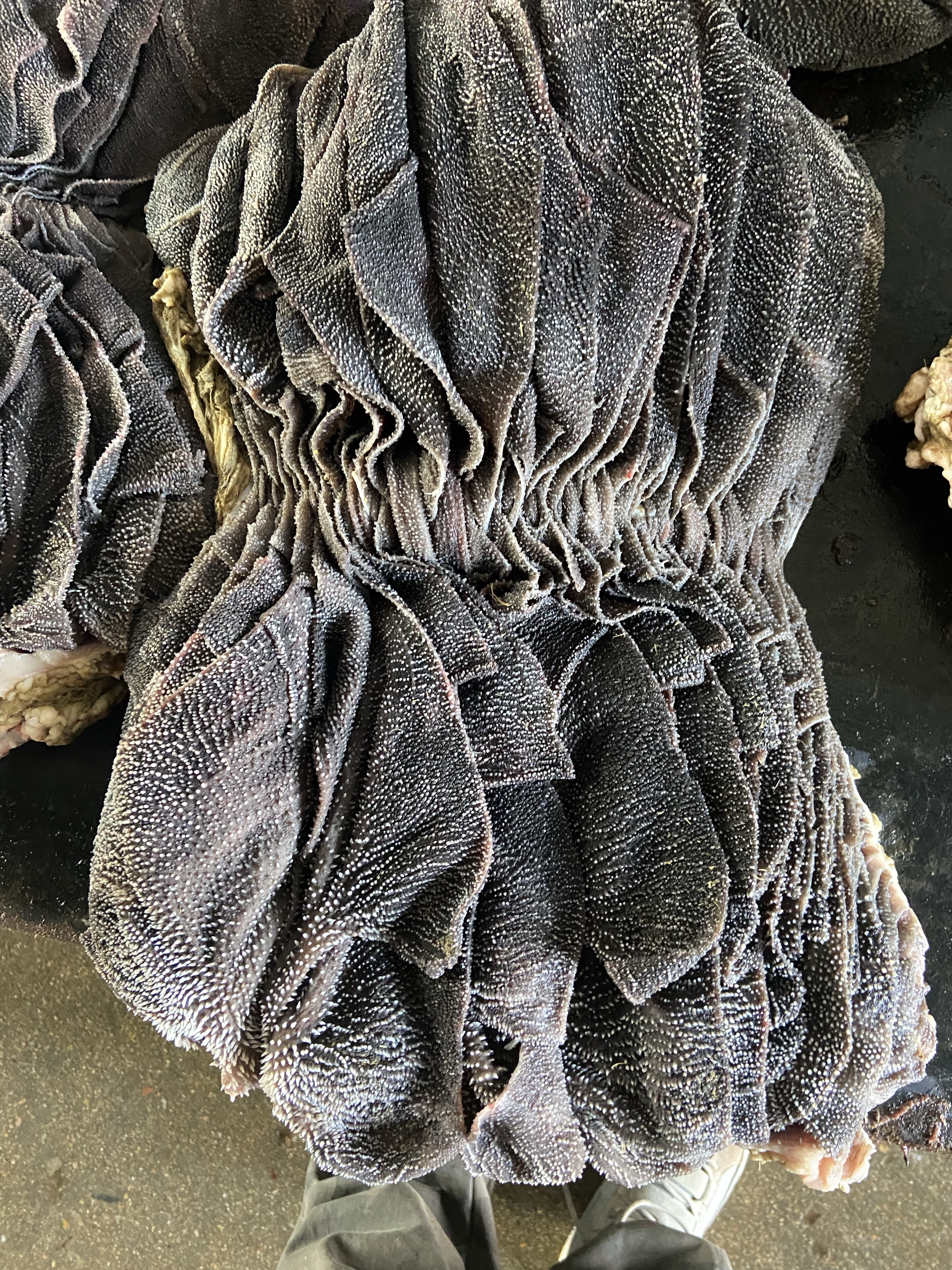 国产纯干牛百叶