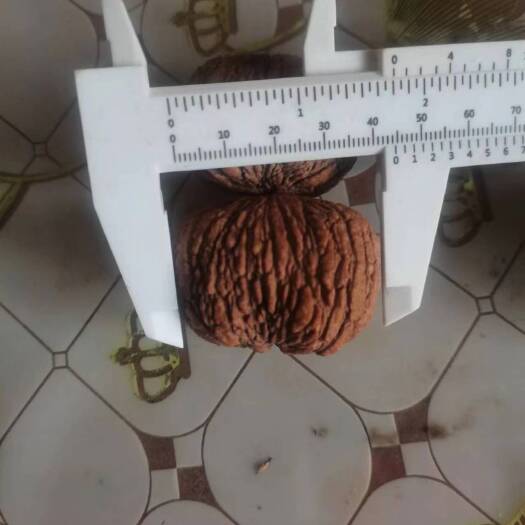 天津文玩核桃