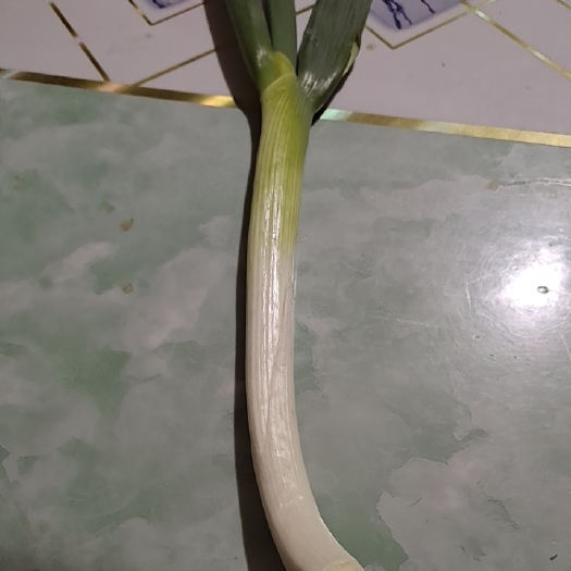 胶州市量大优惠