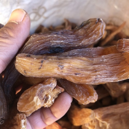 辉南县乌天麻