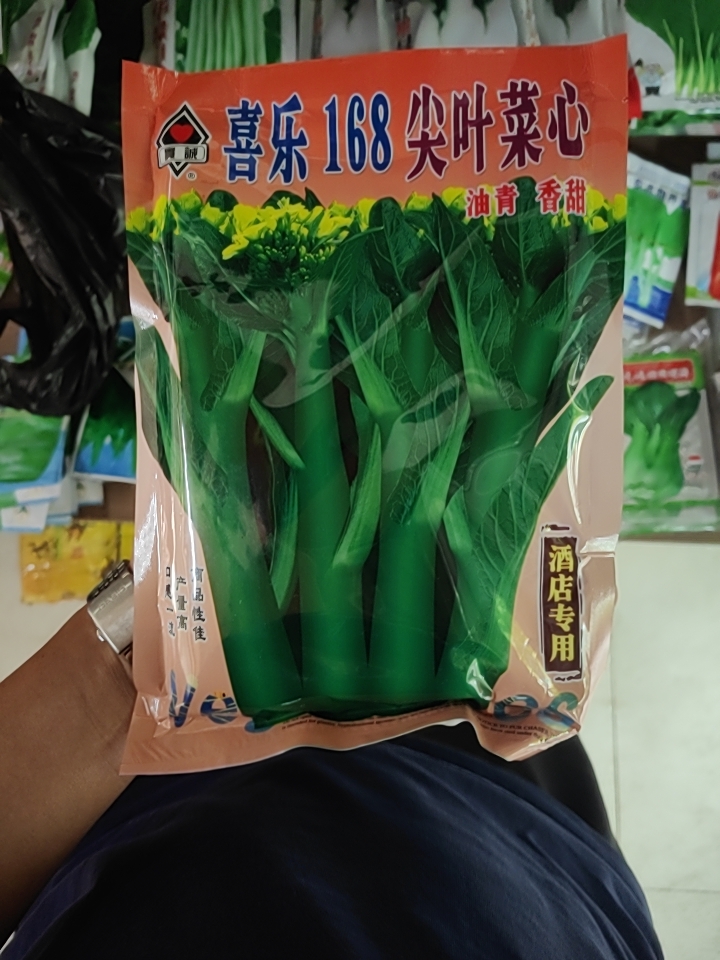 甜菜心种子  青油甜菜心蔬菜种子，优良品种，整齐度好，商品性