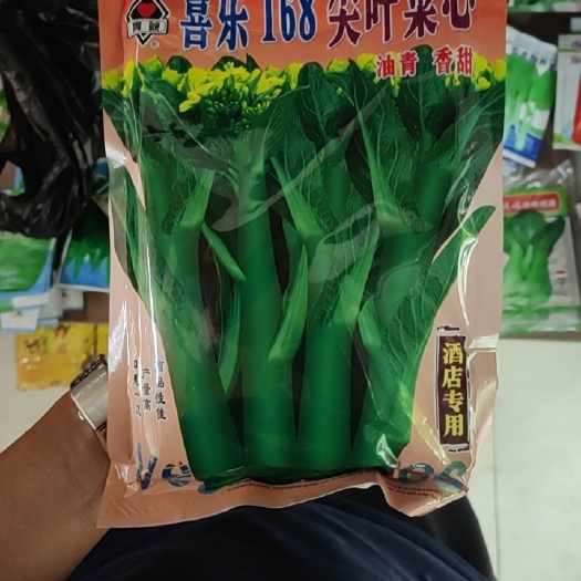 甜菜心种子  青油甜菜心蔬菜种子，优良品种，整齐度好，商品性