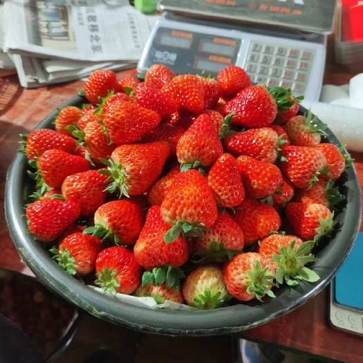 草莓批发，价格每天不定