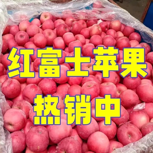 沂南县【冷库红富士苹果 大量批发】价格便宜全国发货