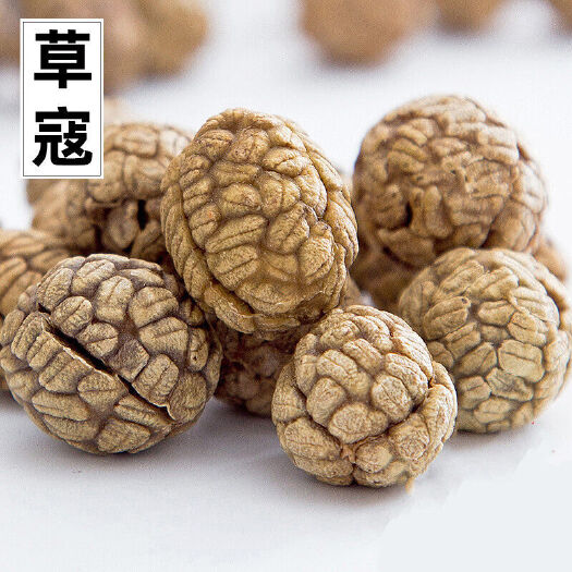 枣庄5斤草蔻草豆蔻草寇草寇仁草扣炖肉卤肉香辛料香料调料