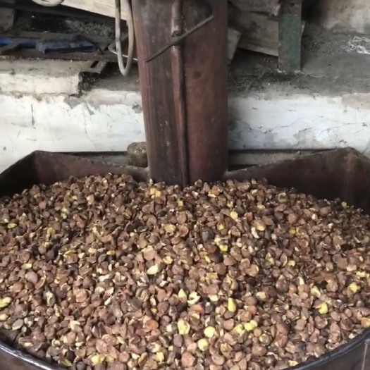宁明县山茶油