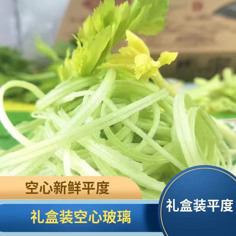 平度特产马家沟芹菜新鲜芹菜空芯芹菜玻璃脆大叶空芯芹菜