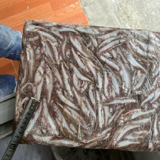 成都冻白条鱼