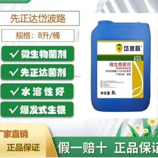 寿光市先正达岱波路微生物菌剂促根壮苗番茄辣椒茄子草莓黄瓜蔬菜灌根肥