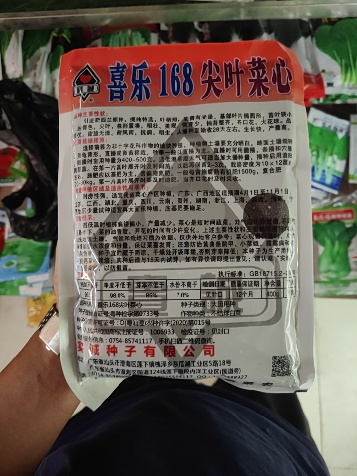 甜菜心种子  青油甜菜心蔬菜种子，优良品种，整齐度好，商品性