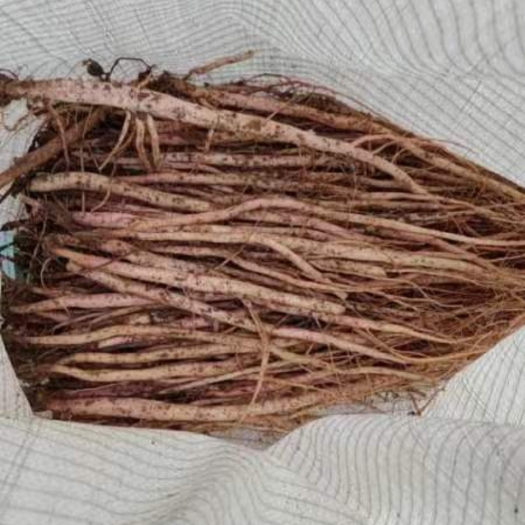赤峰怀牛膝，家里自种，无分叉质量超好，可验货。
