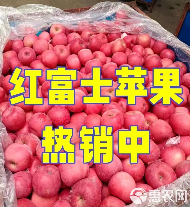 【全国发货】精品红富士苹果/现货冷库批发大量供应价格便宜
