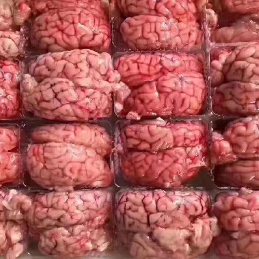 郑州羊脑，对脑，板脑，源头厂家直供，货源稳定，全国冷链物流发货！