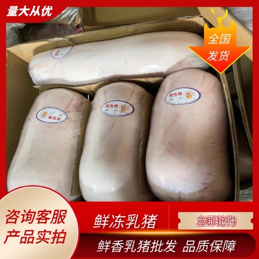 鲜香乳猪,现货现杀,量大优惠