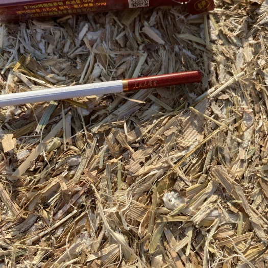 玉米秸秆