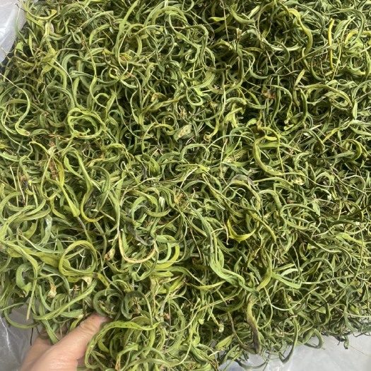 昆明中叶化石草500克