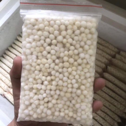 潮州茨实2025新鲜芡实野生食用鸡头米批发新货茨实手剥