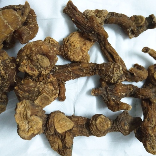 阳新县干货黄精老虎姜黄精,鸡头黄精,滋补品煲汤煲茶泡酒黄精干货