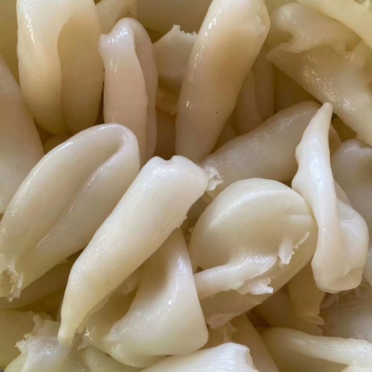 广州鸡蛋胶