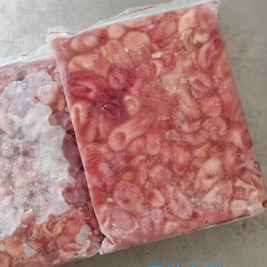 广州鱼肚