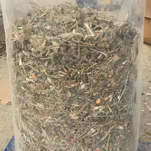 三河市大麦苗颗粒大麦苗颗粒鲜大麦苗颗粒