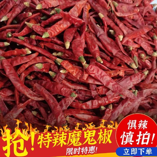 柘城县干辣椒红辣椒魔鬼辣辣椒面小米辣超辣香辣印度干辣