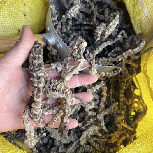 玉林地参、虫草参干货一手货源煮水煲汤