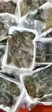 广州甲鱼裙边，裙边