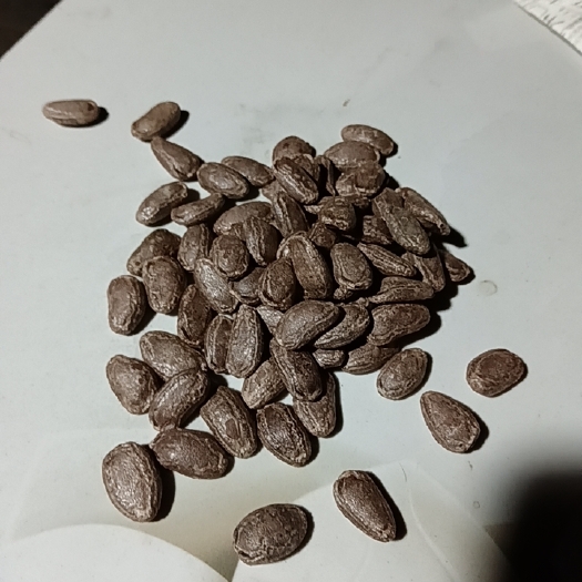 凤凰县吊瓜子