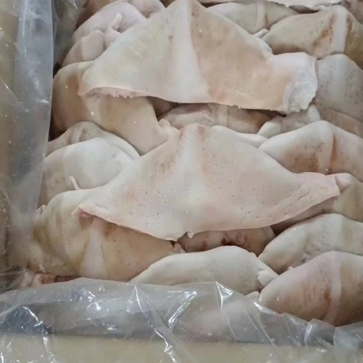 青岛猪下巴 冻品批发