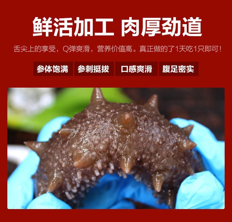 【順豐包郵】即食海參順豐冷鏈煙臺(tái)大連刺參獨(dú)立包裝即食新鮮