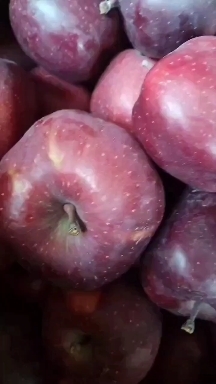 礼县甘肃礼县精品花牛苹果大量有货，欢迎全国各地客商联系！