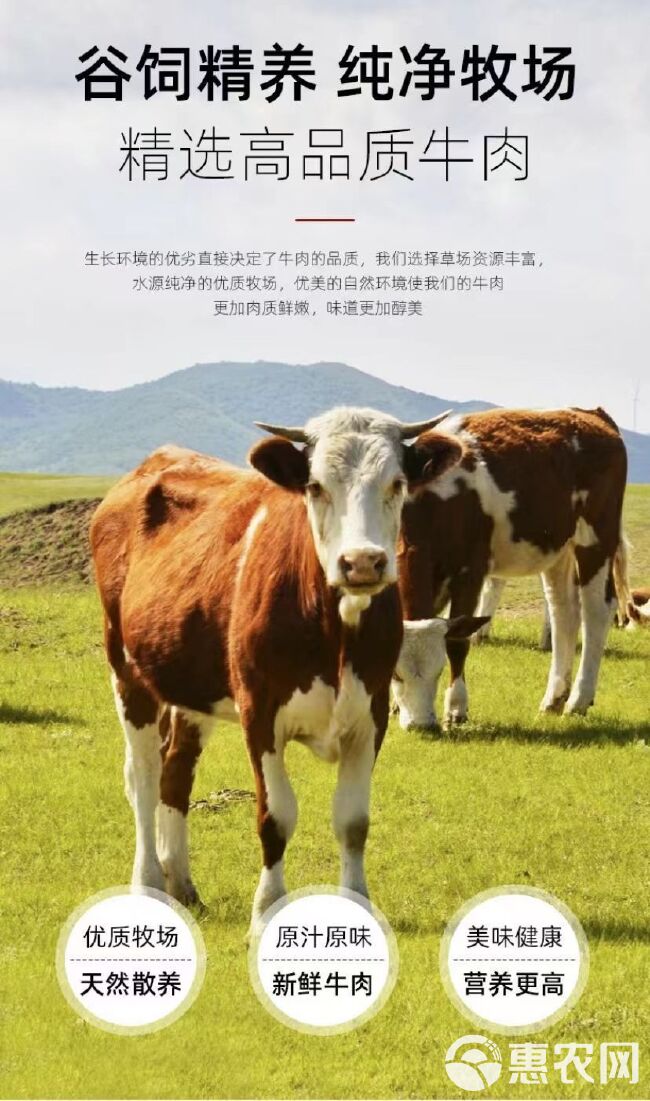 牛腿肉新鲜原切黄牛农家散养黄牛肉牛臀肉牛里脊冷冻里脊肉牛腿肉