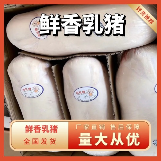 灌南县鲜冻乳猪，现货现杀，满20头包邮，量大优惠更大
