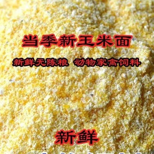 蚌埠畜禽养殖专用玉米粉