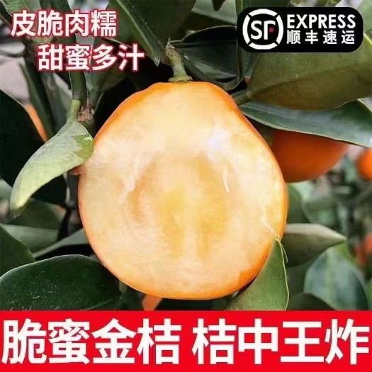 融安县融安脆蜜金桔