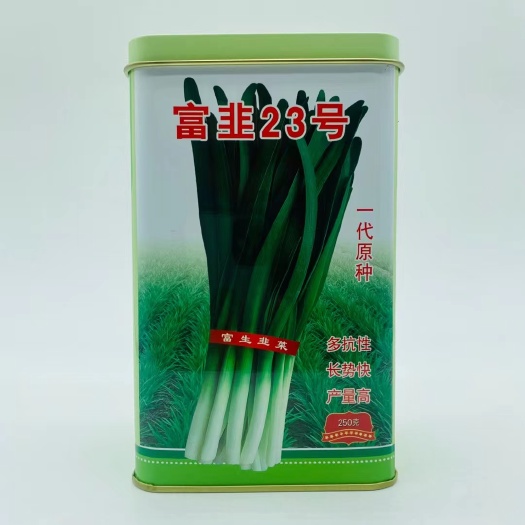 沭阳县韭菜种子富韭23号大田基地专用韭菜种子抗寒抗病抗逆性强，