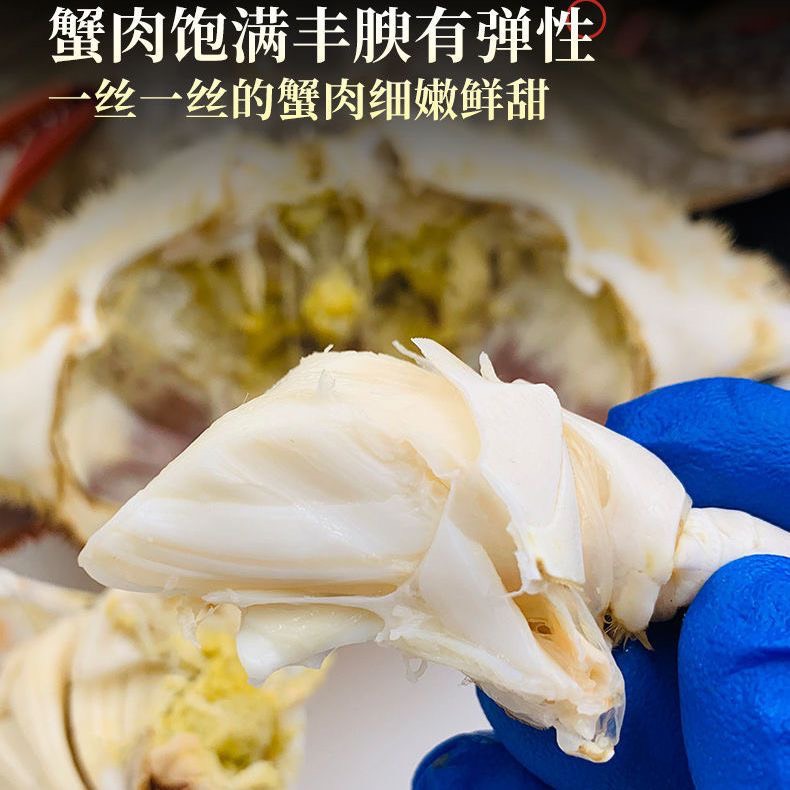 梭子蟹 冷凍母蟹海螃蟹飛蟹3/6兩母蟹海鮮鮮水產(chǎn)