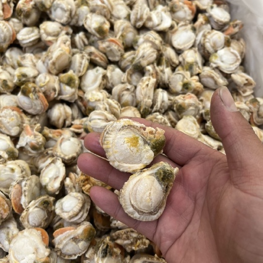 连云港今年新货干冰扇贝肉20/40规格40个左右一斤捞汁小海鲜可用