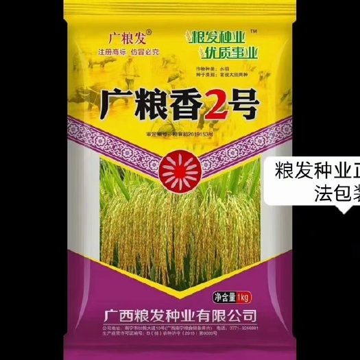百色广粮香2号