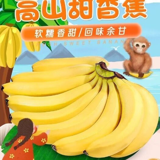红河县批发价薄皮新鲜整箱当季包邮香蕉新鲜水果
