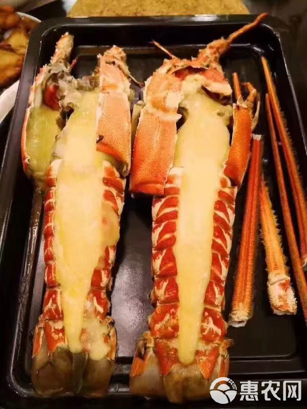 红龙虾，龙虾