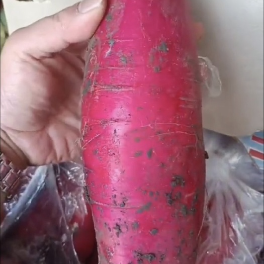 红皮白心萝卜