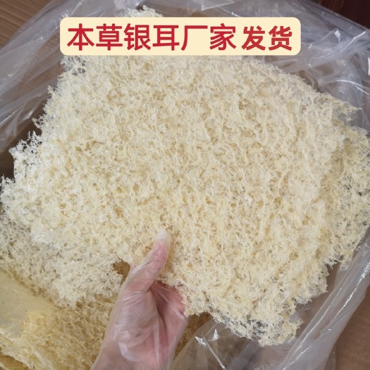 古田县古田本草银耳快速出胶 无糖免洗免泡发糯耳 即食破壁银耳厂家直
