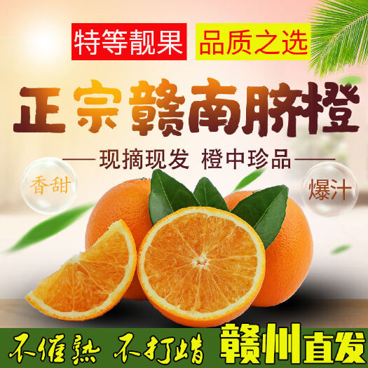 安远县【暂未开卖请勿下单】正宗江西赣州赣南脐橙新鲜水果现摘甜橙子