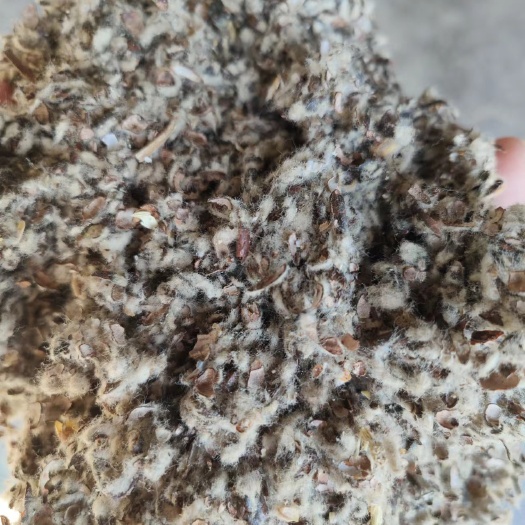 重庆市优质棉壳常年向重庆市北碚巴南綦江铜梁大足优价发货
